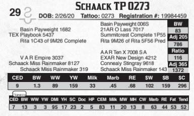 0273p 0273p
