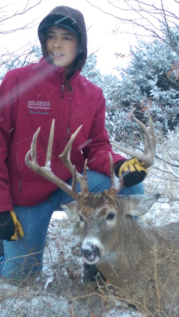 Wynn_deer Wynn_deer