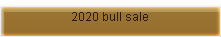 2019 BULL SALE